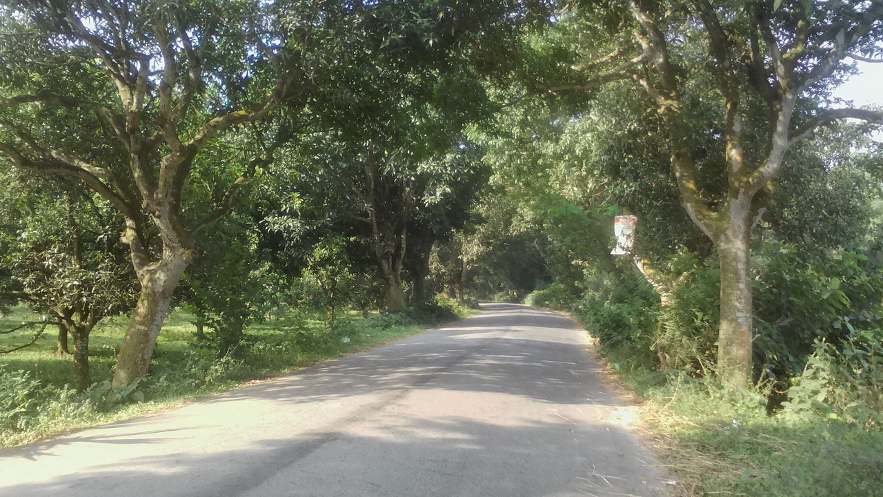 Photo of Outdoor in Ghoraghat