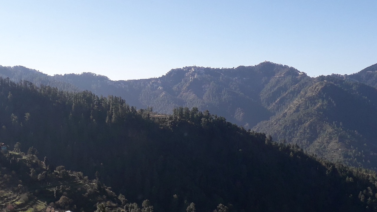 Photo of Others in Shimla