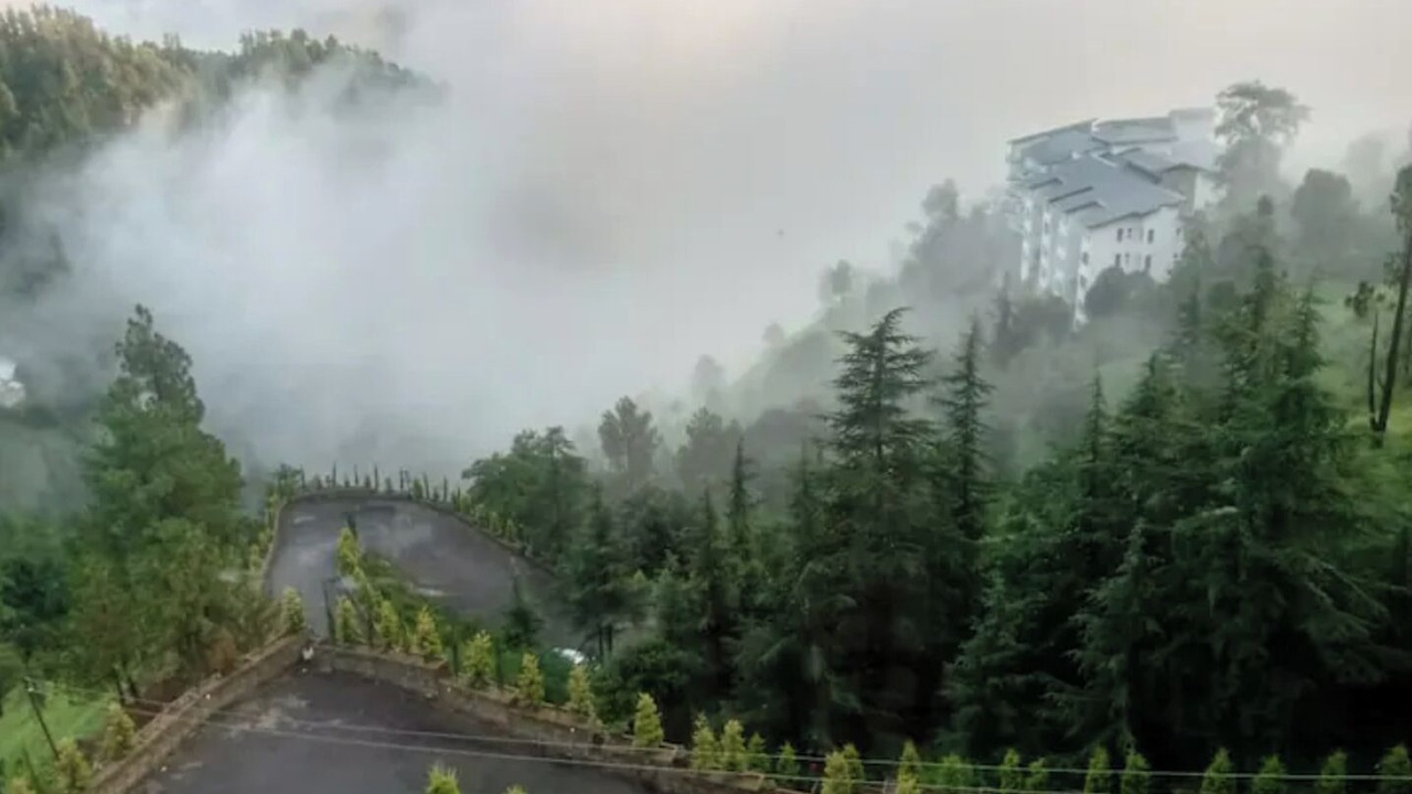 Photo of Others in Shimla