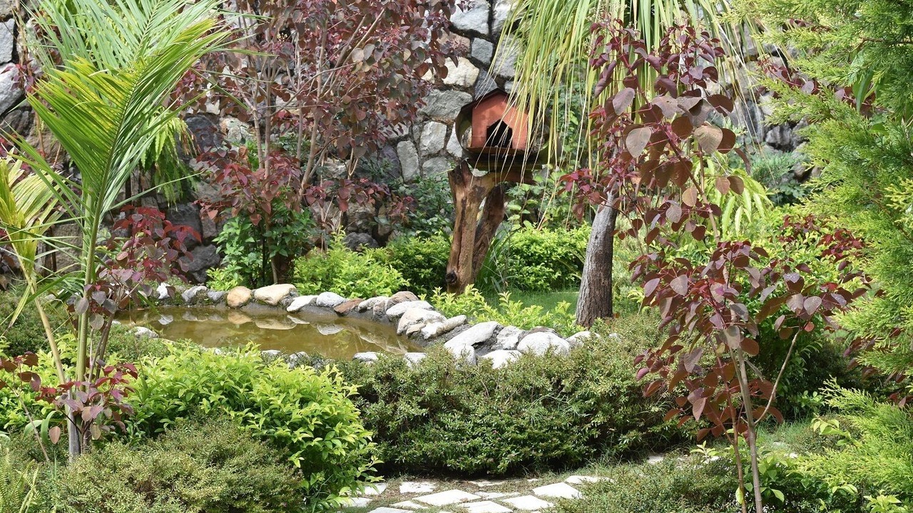 Photo of Outdoor in Bigha