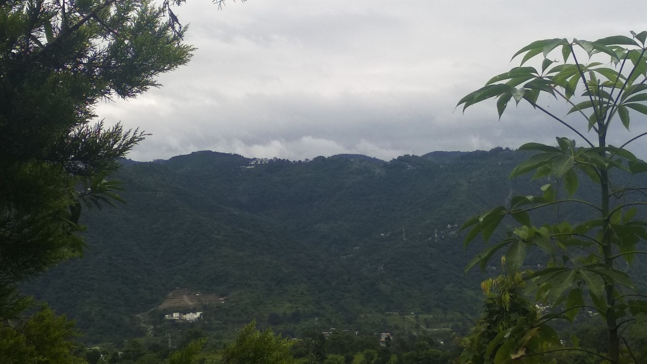 Photo of Others in Bigha