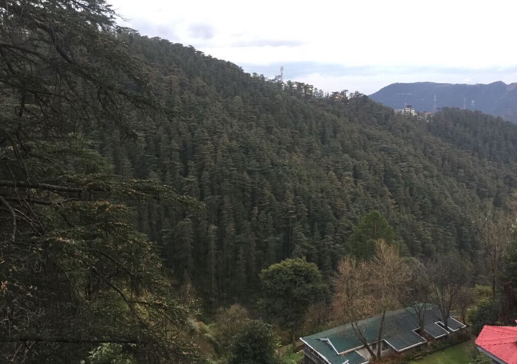 Photo of Outdoor in Shimla