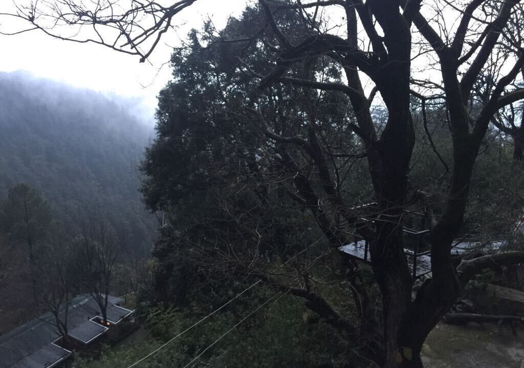 Photo of Outdoor in Shimla