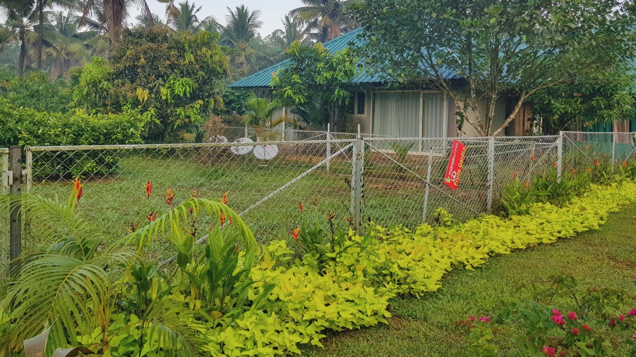 Photo of Outdoor in Todupulai