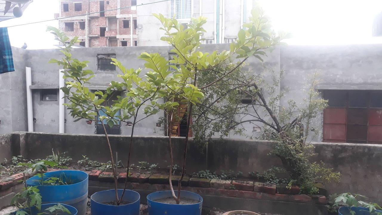 Photo of Outdoor in Dhaka