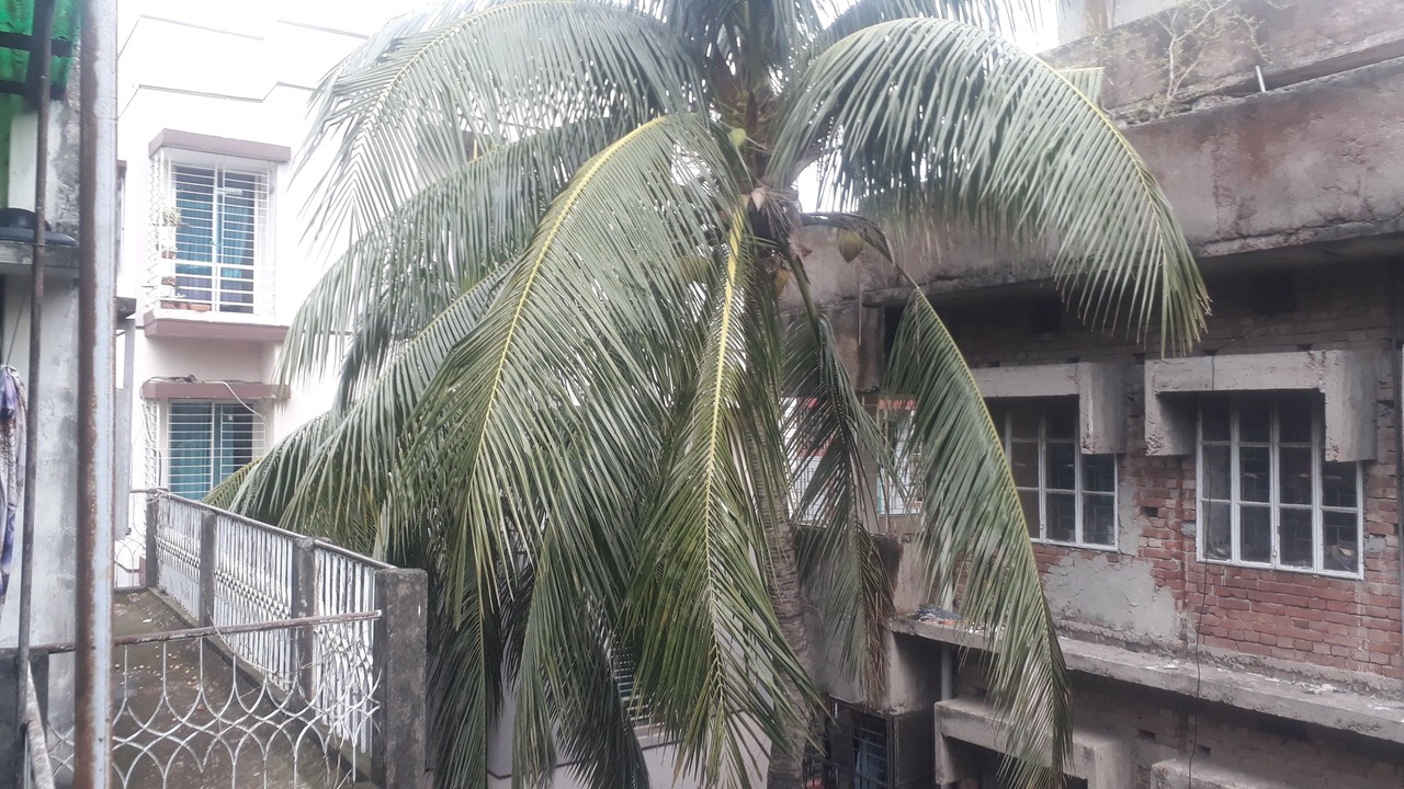 Photo of Outdoor in Dhaka