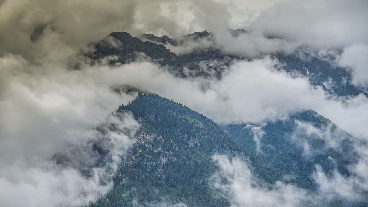 Photo of Outdoor in Kalpa