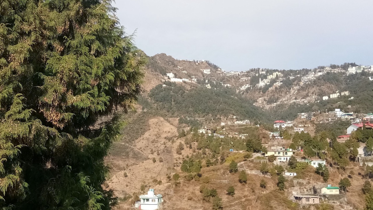 Photo of Outdoor in The Mall Road