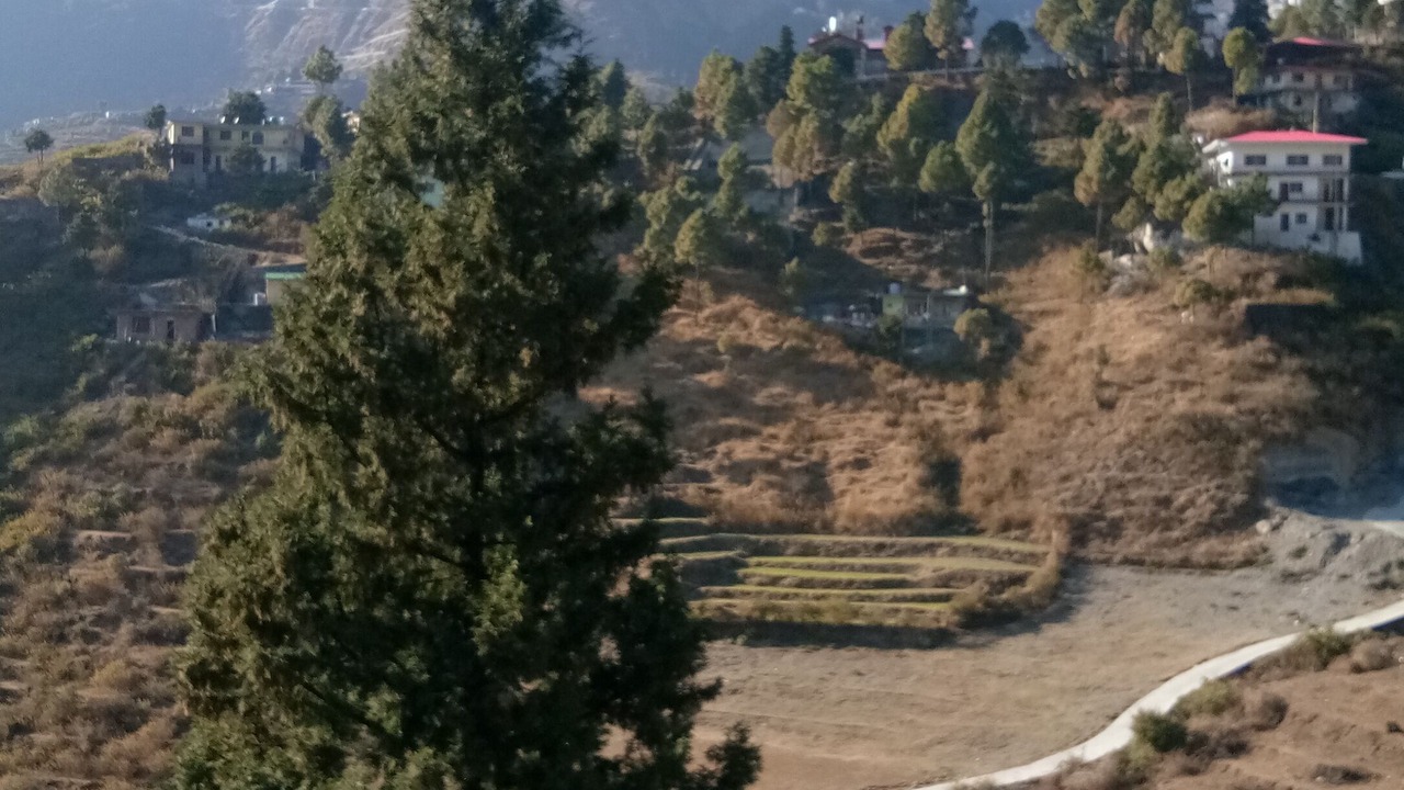 Photo of Outdoor in The Mall Road