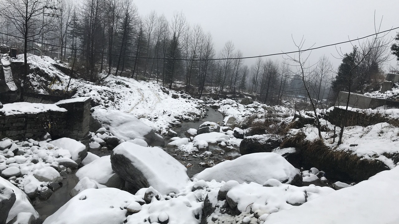 Photo of Others in Manali