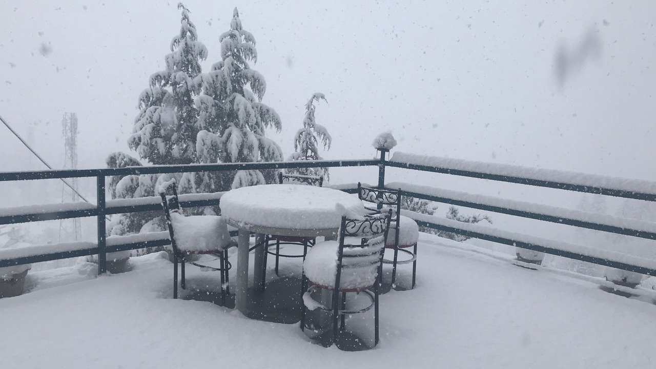 Photo of Others in Manali