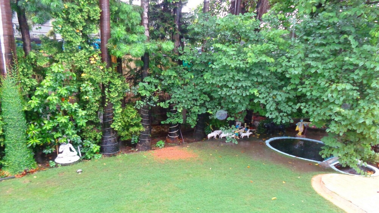 Photo of Outdoor in Rishikesh