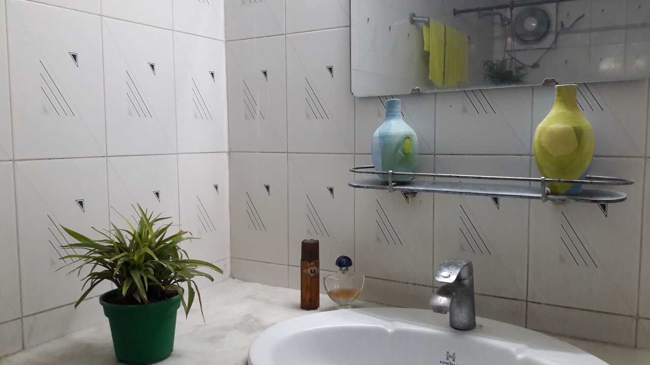 Photo of Bathroom in Dhanmondi