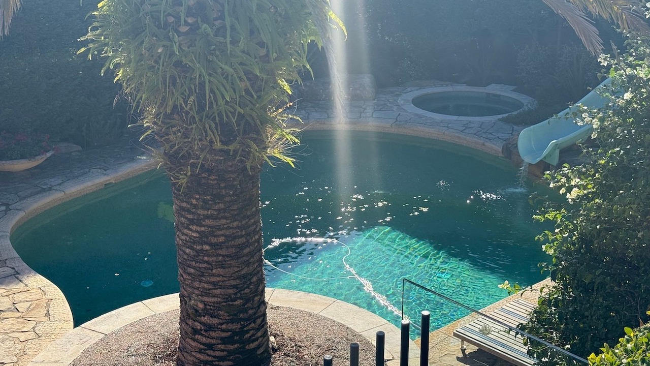 Photo of Outdoor in Palm Beach