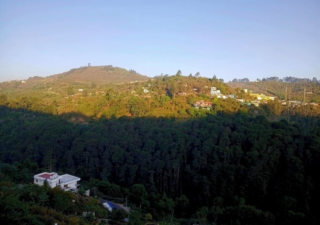 Photo of Outdoor in Kodaikanal