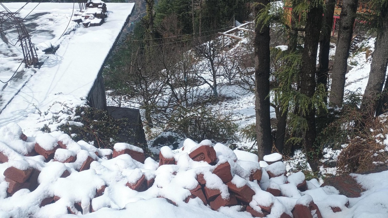 Photo of Outdoor in New Manali