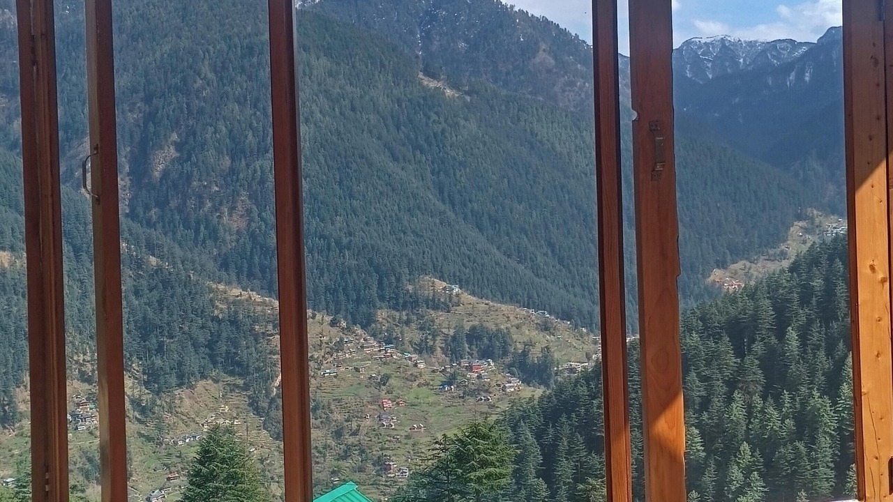 Photo of Others in New Manali