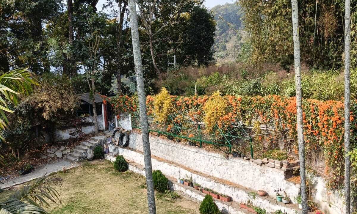 Photo of Outdoor in Rangpo