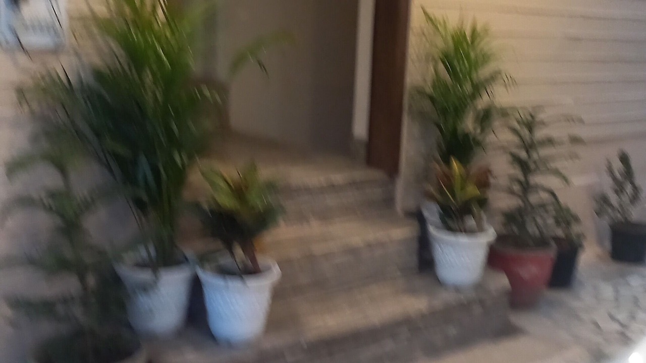 Photo of Outdoor in Mathura