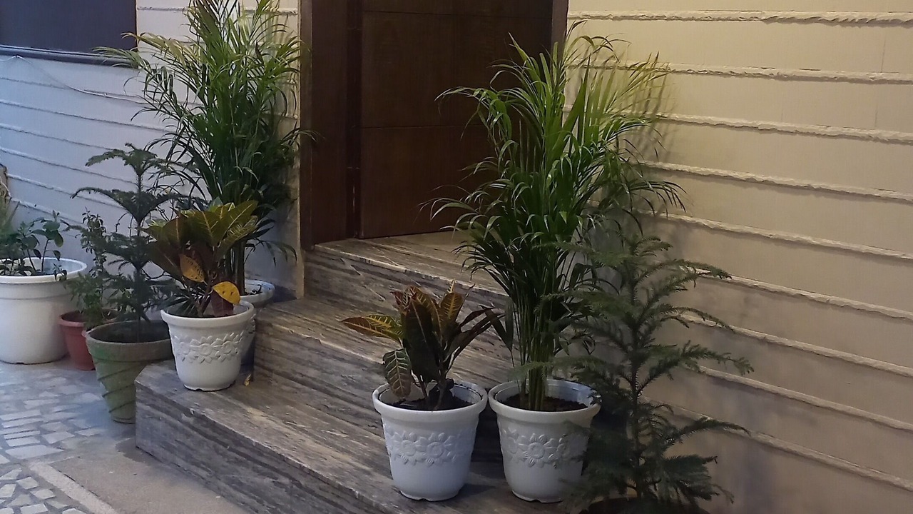 Photo of Outdoor in Mathura
