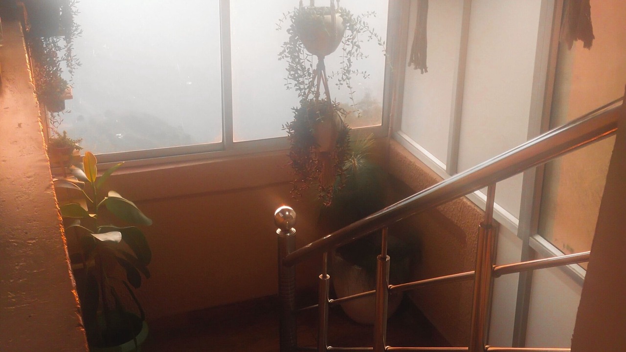 Photo of Others in Darjeeling