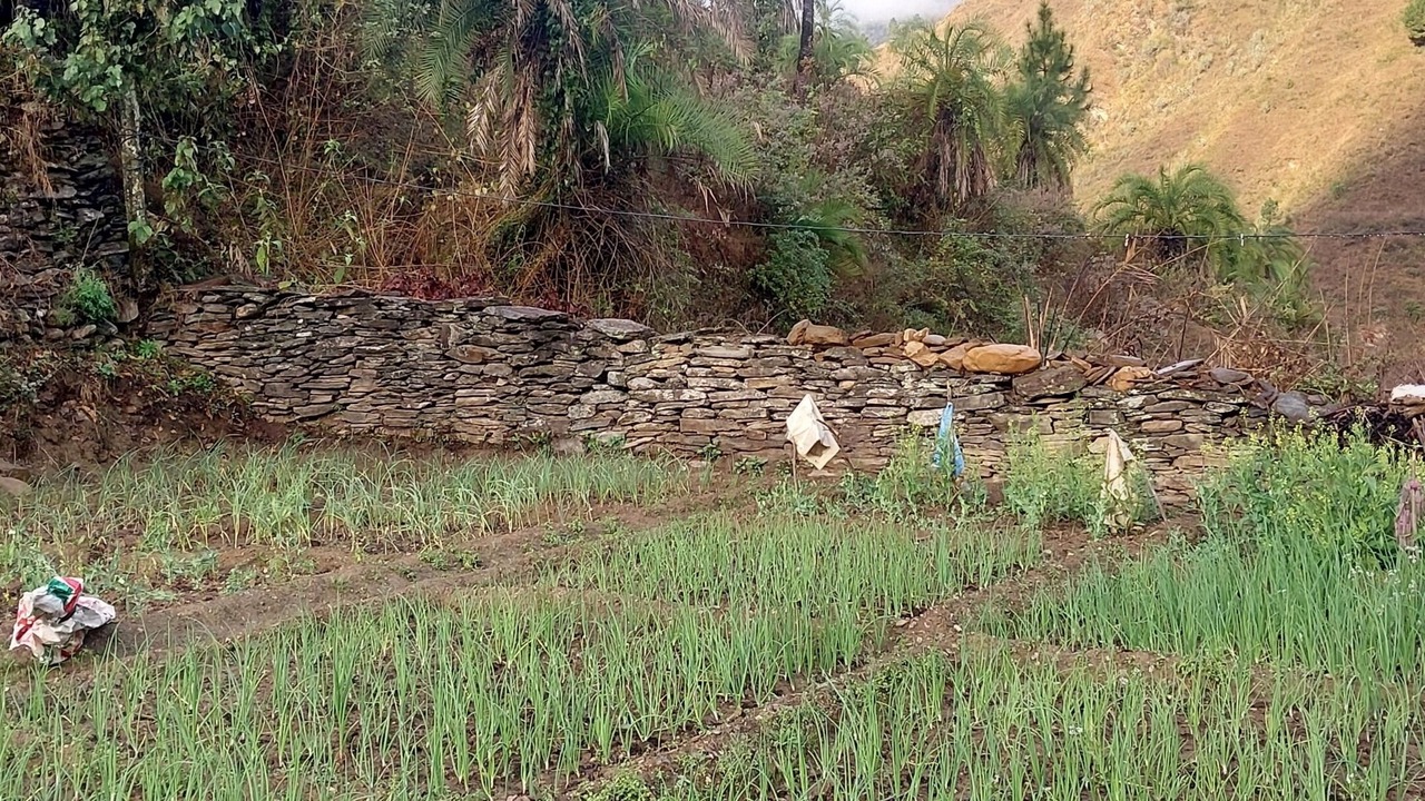 Photo of Outdoor in Almora