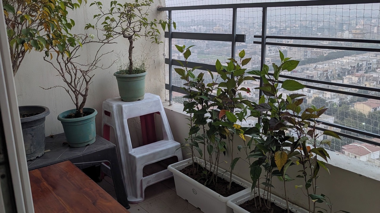 Photo of Outdoor in Greater Noida