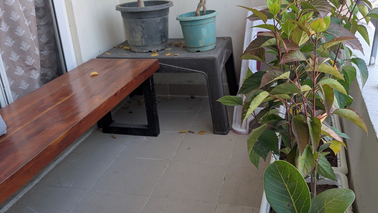 Photo of Outdoor in Greater Noida