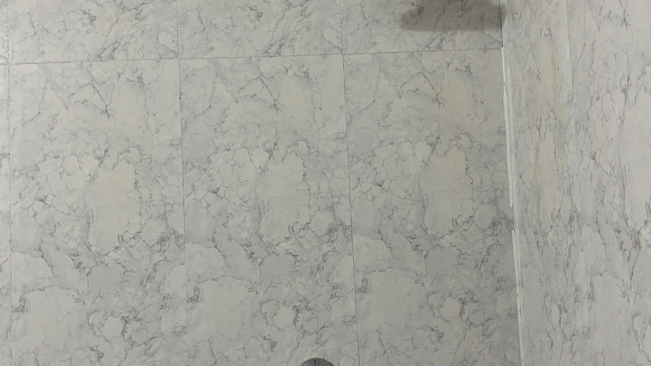 Photo of Bathroom in Noida