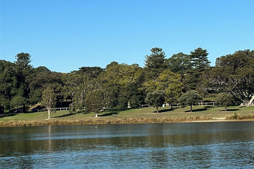 Photo of Others in Randwick