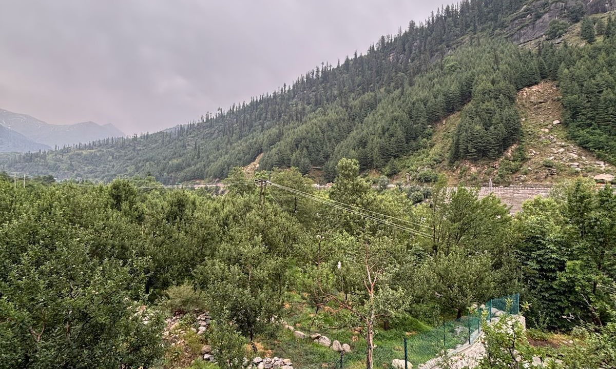 Photo of Outdoor in Burwa