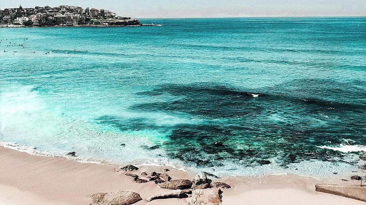 Photo of Others in Bondi Beach