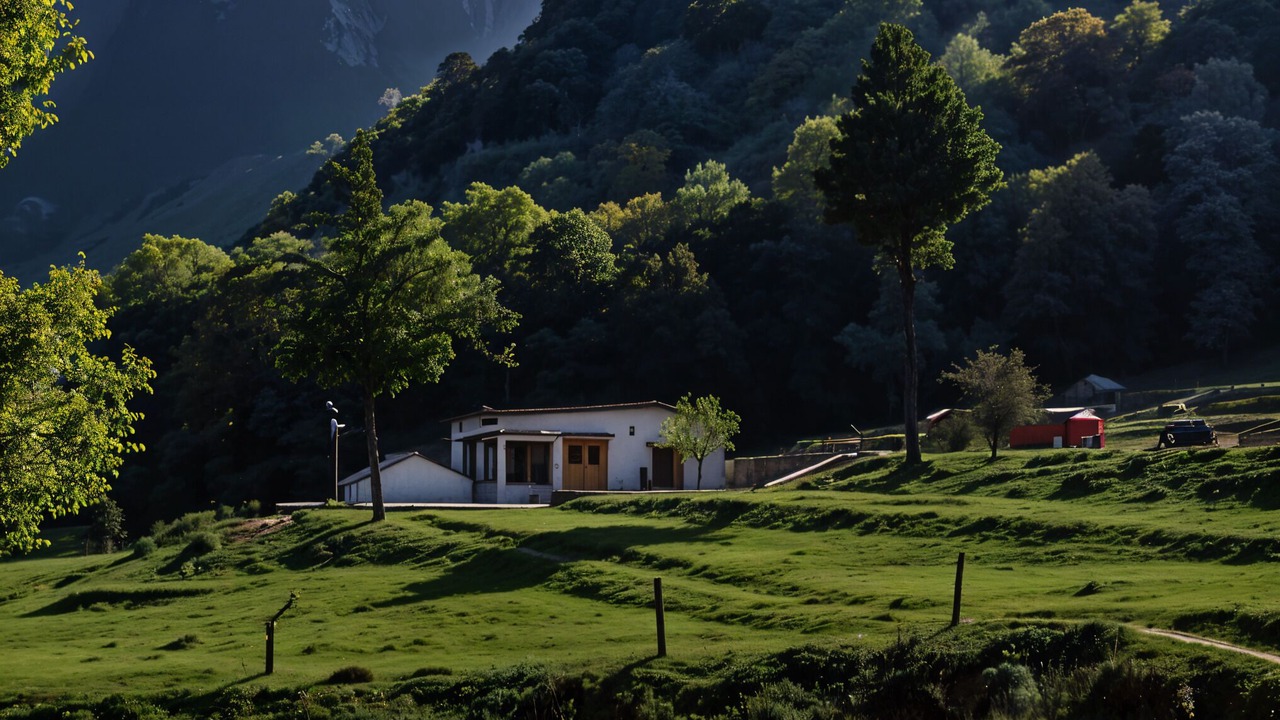 Photo of Outdoor in Bullawala