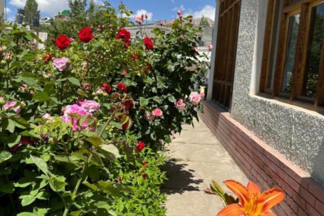 Photo of Outdoor in Leh