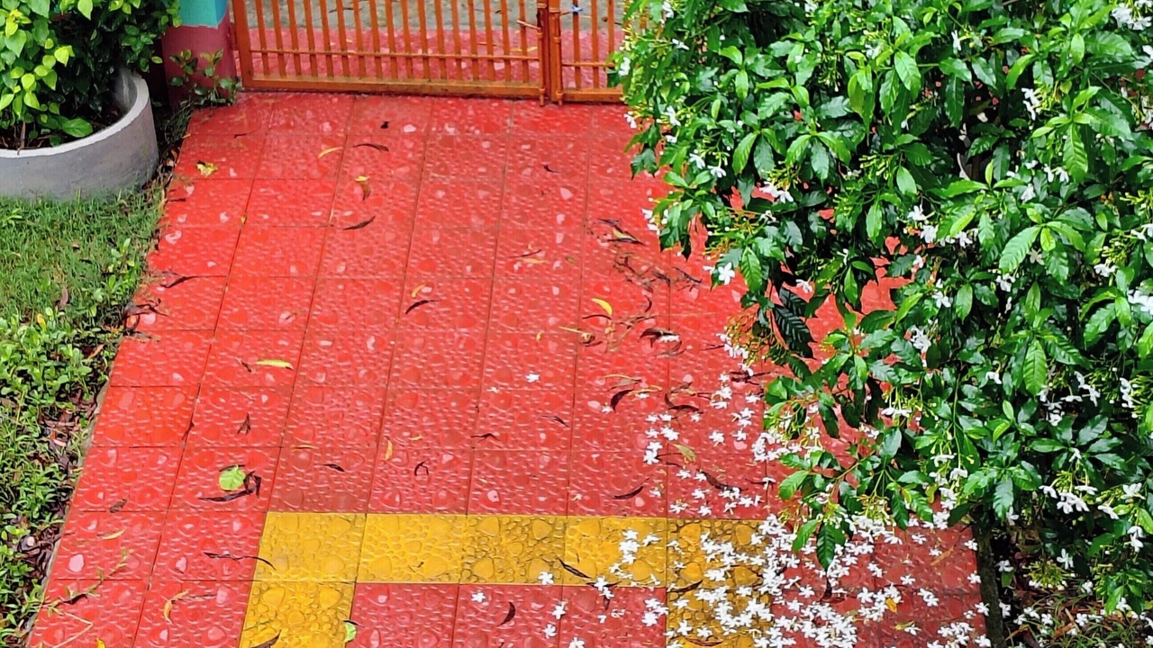 Photo of Outdoor in Jhalakathi Sadar