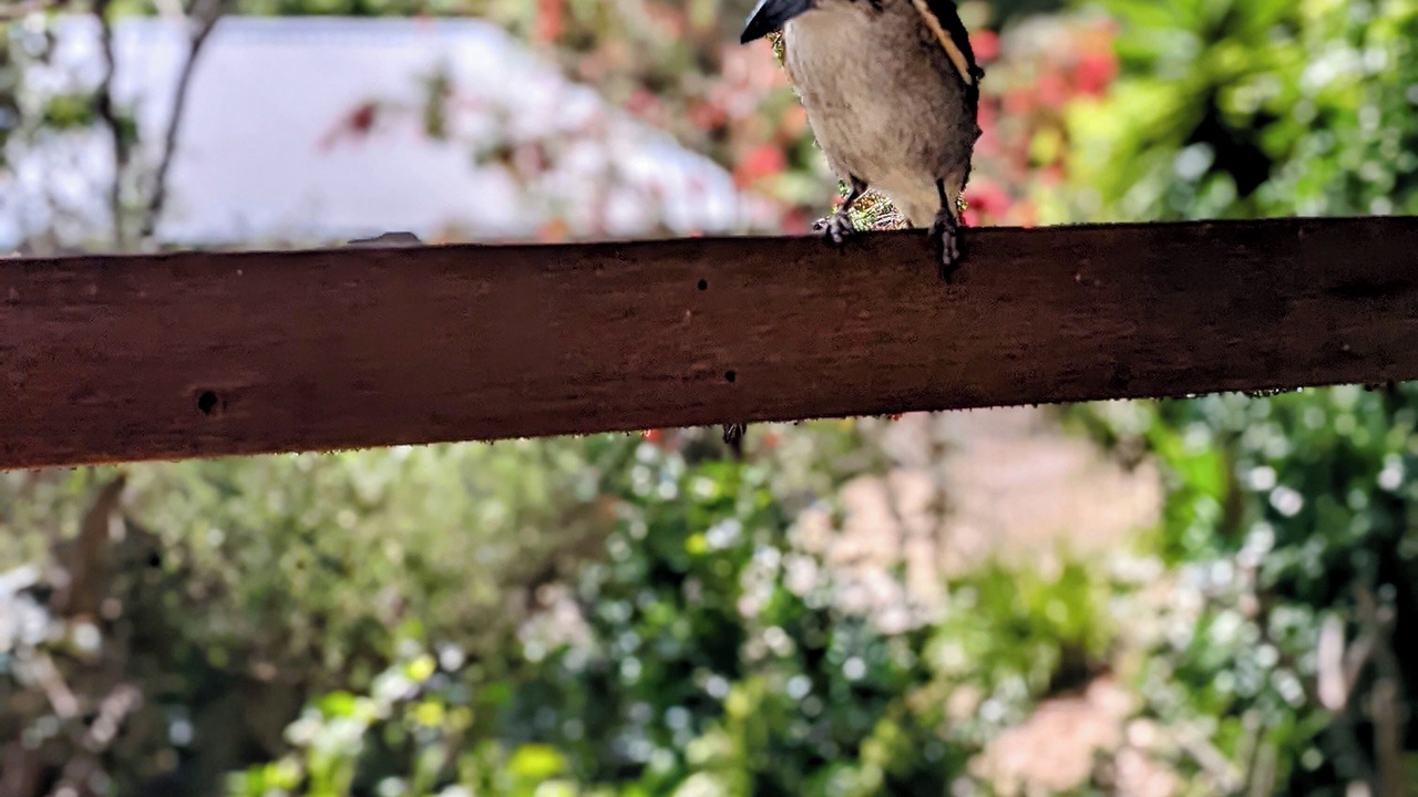 Photo of Outdoor in Bundeena