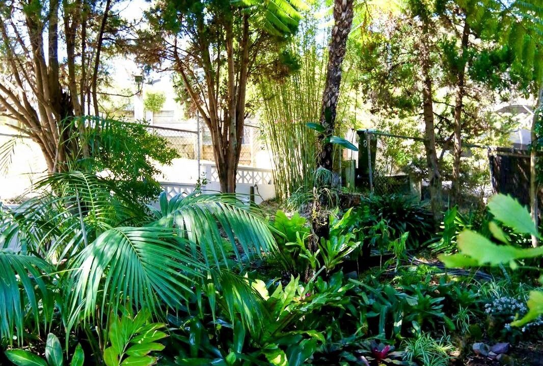 Photo of Outdoor in Bundeena
