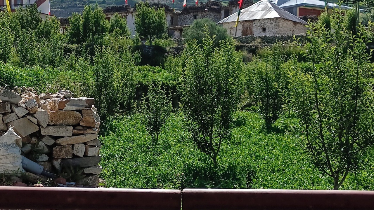 Photo of Outdoor in Nako