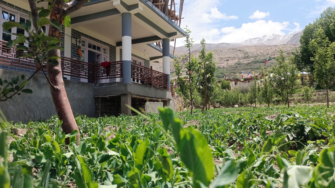 Photo of Outdoor in Nako
