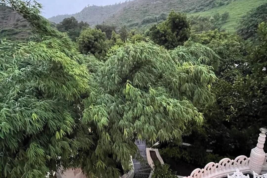 Photo of Outdoor in Bedla