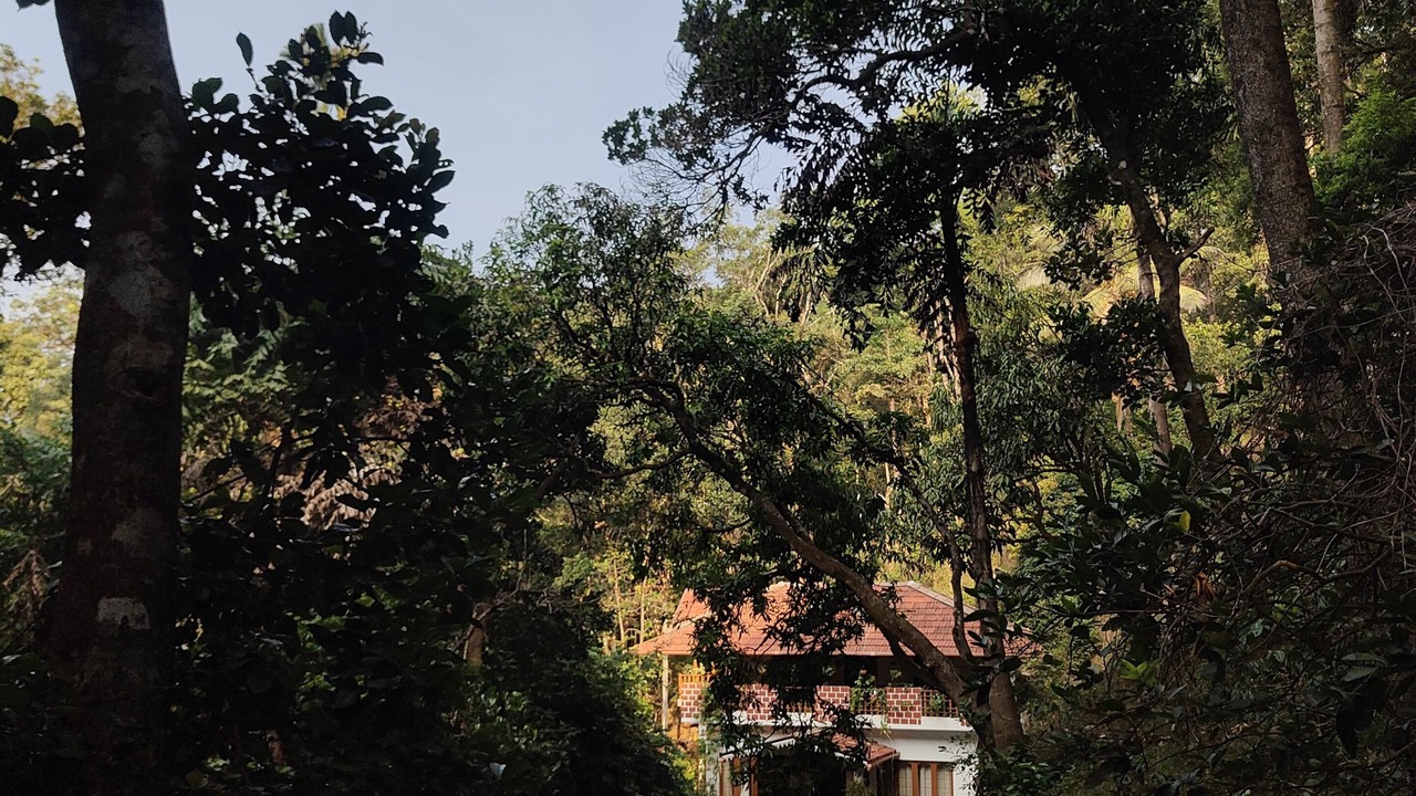 Photo of Outdoor in Stuart Hill