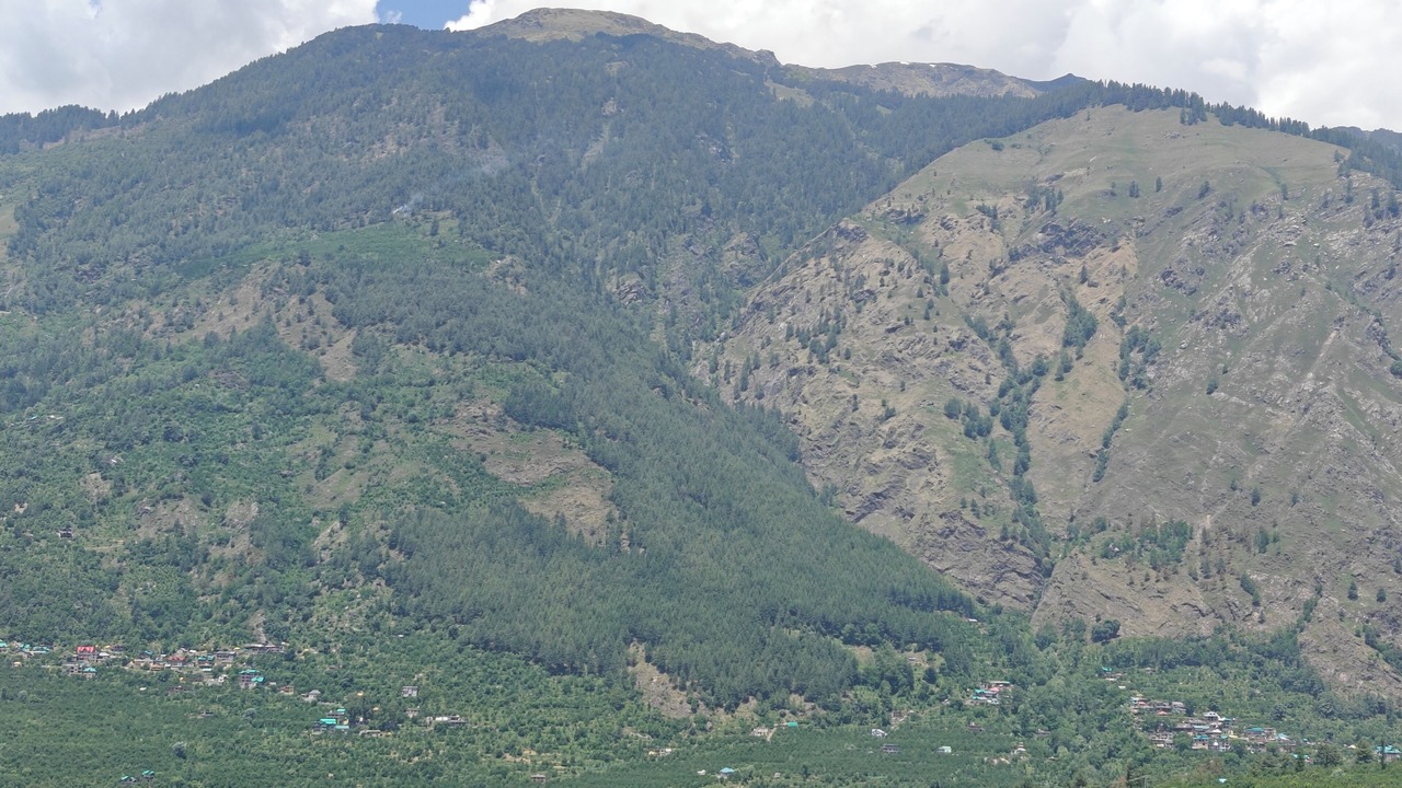 Photo of Others in Manali