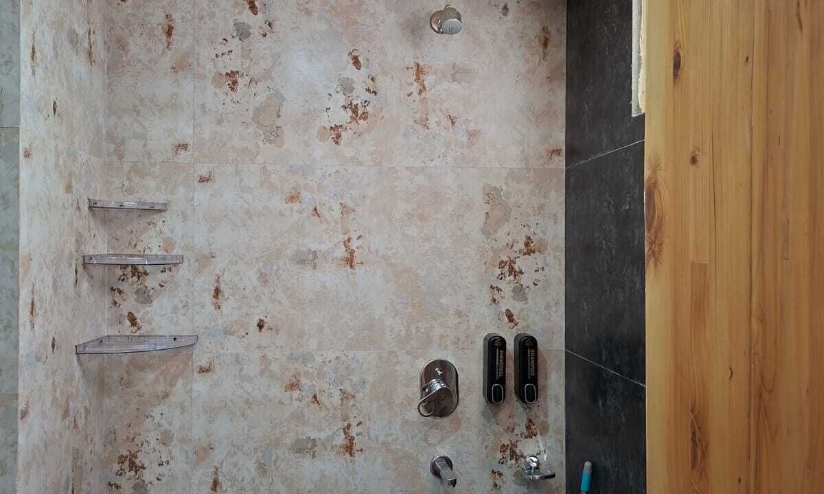Photo of Bathroom in Manali