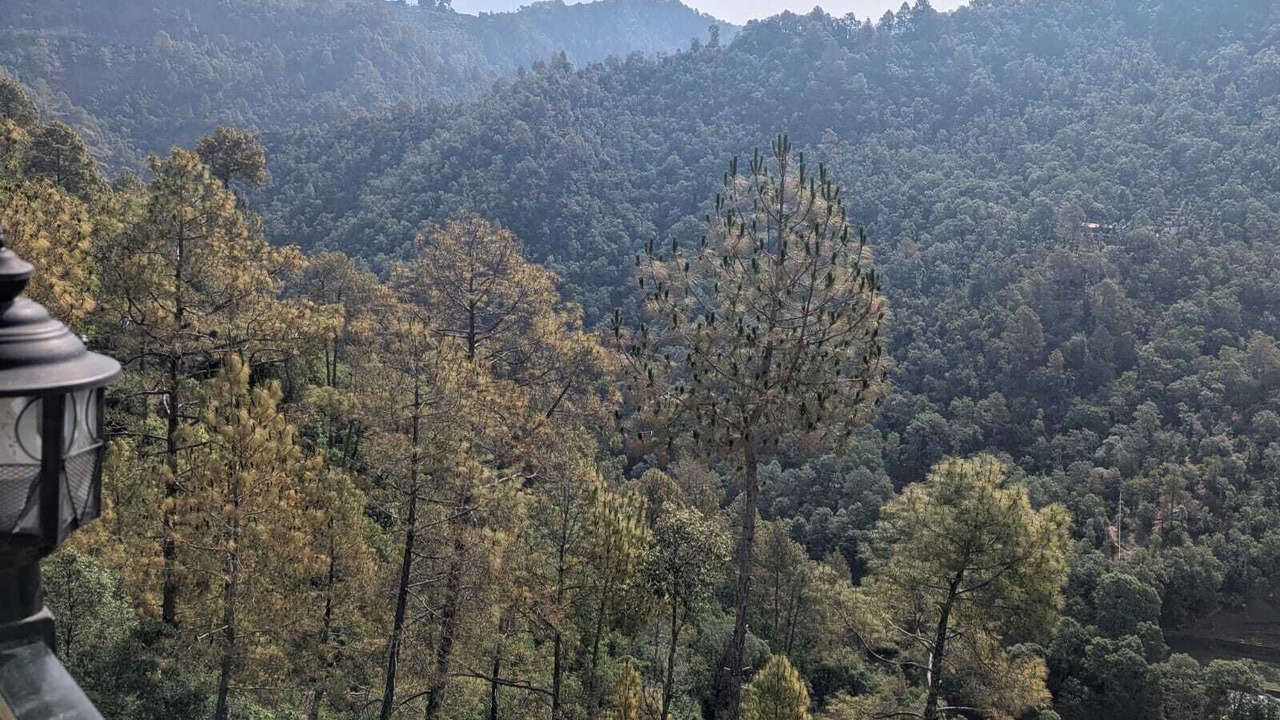 Photo of Others in Kaul
