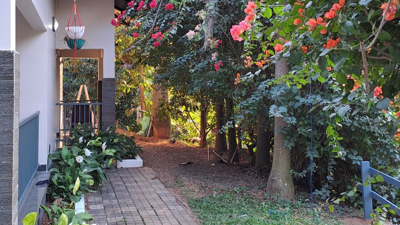 Photo of Outdoor in Pottankadu