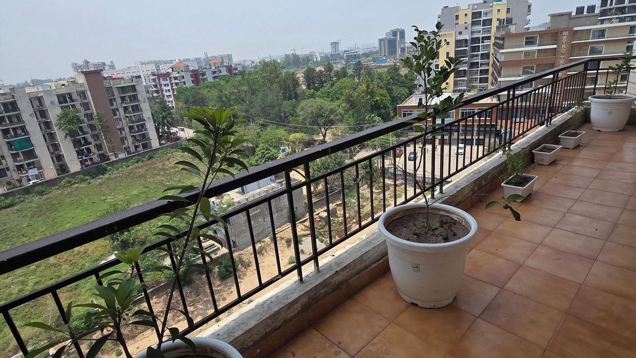 Photo of Outdoor in Zirakpur