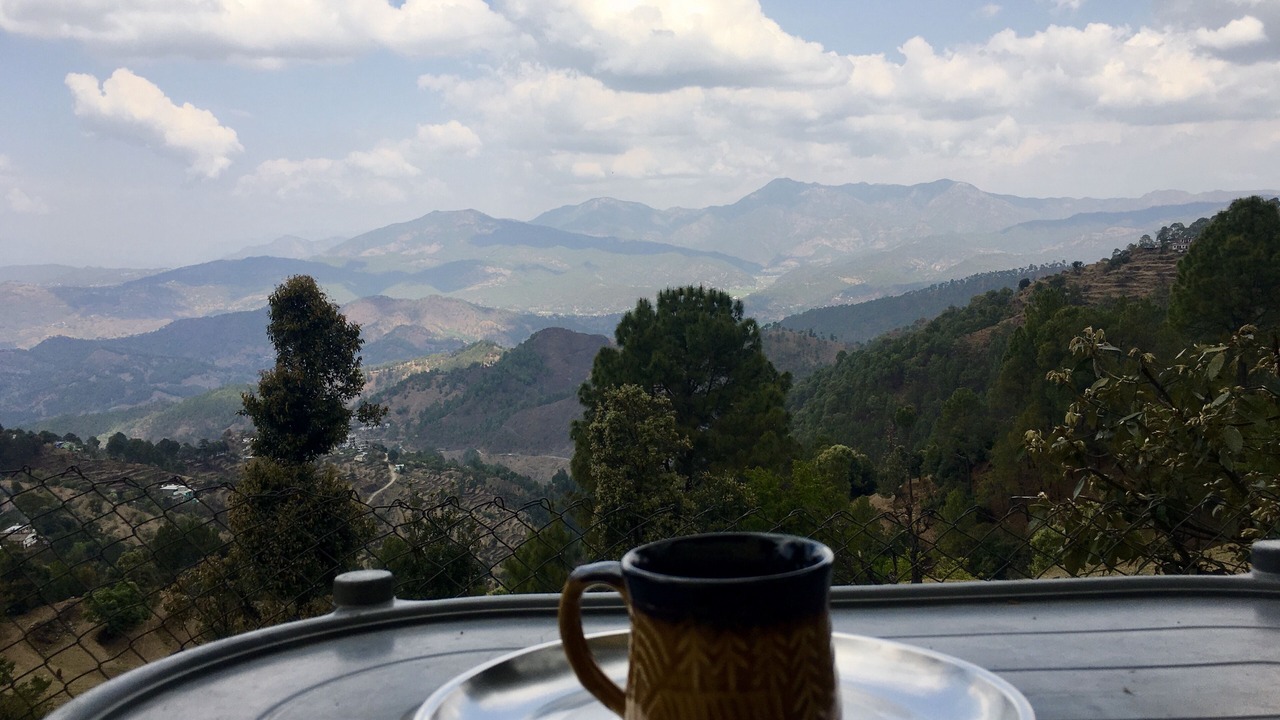 Photo of Outdoor in Majkhali