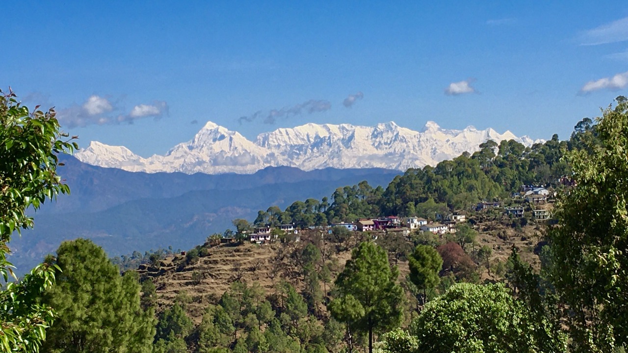 Photo of Others in Majkhali