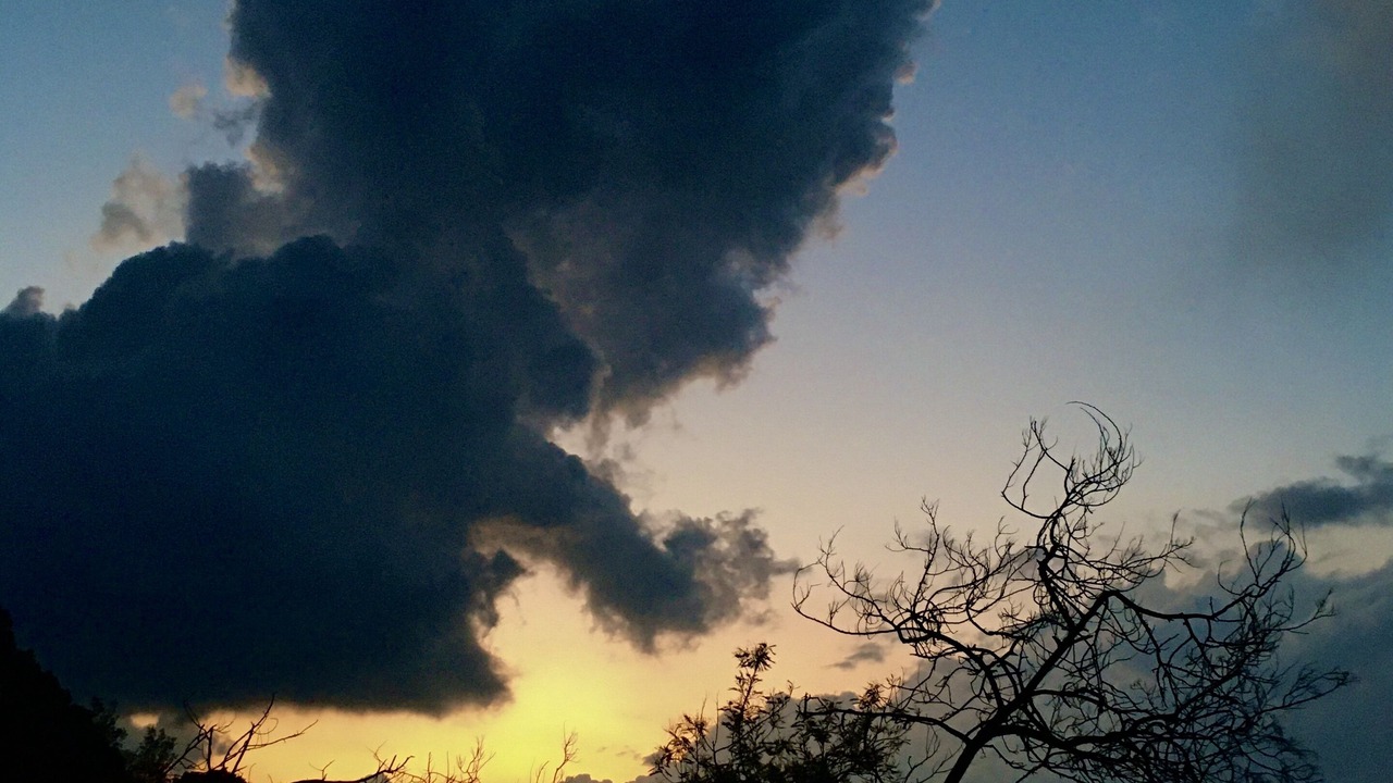 Photo of Others in Majkhali