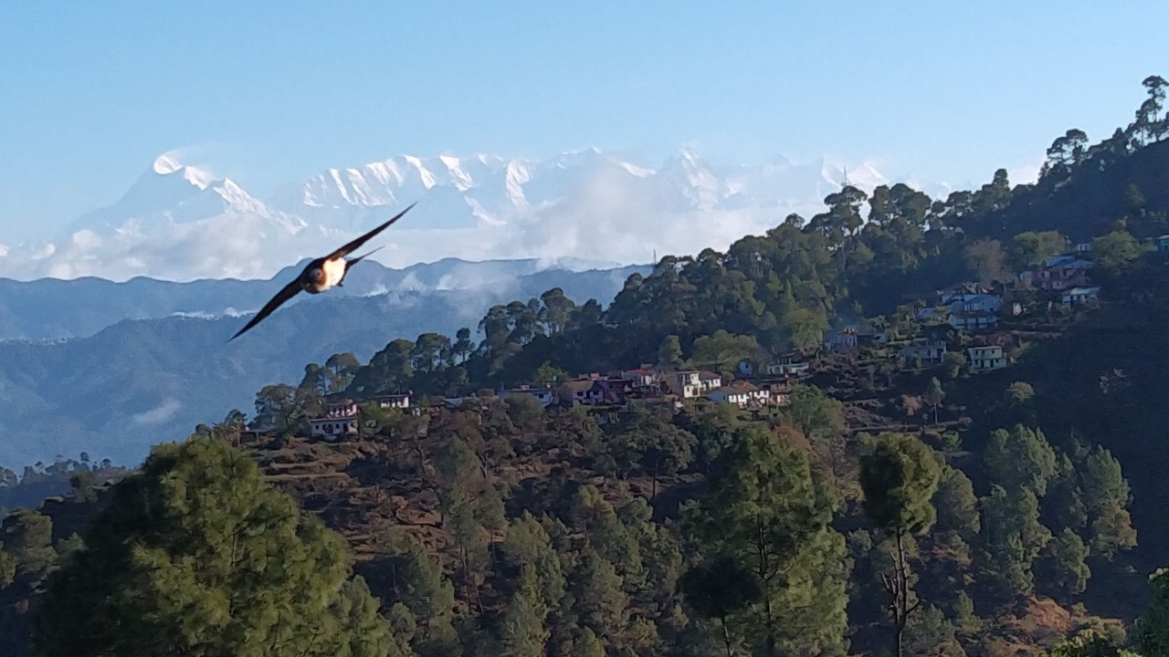 Photo of Outdoor in Majkhali